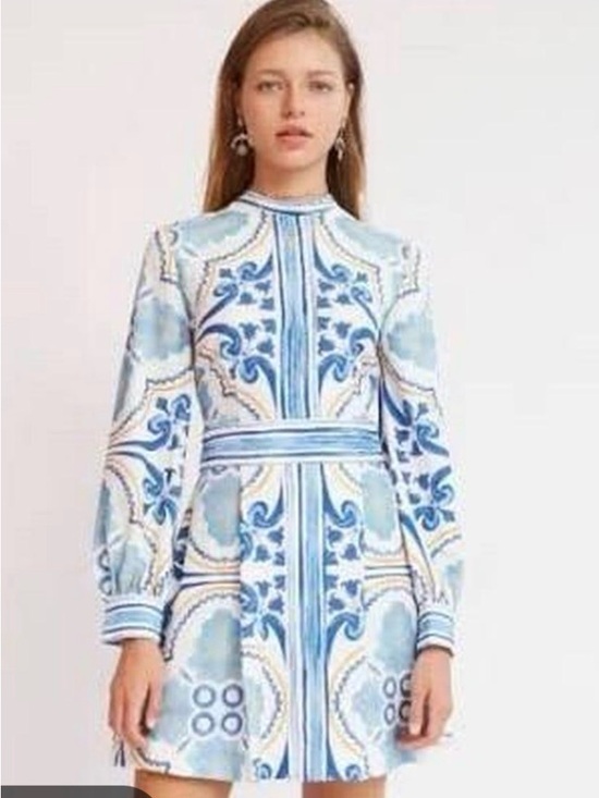 Finders Keepers Dresses & Skirts - Finders Keepers Blue and White Patterned Long-Sleeve Mini Dress